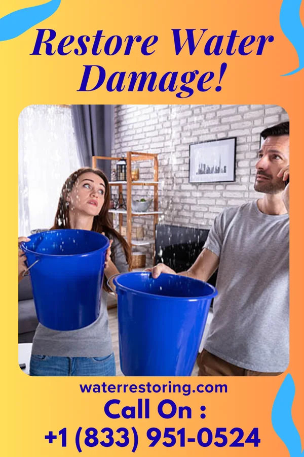 water restoration Empire Sewage Cleanup Contractors Cattle Creek